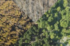 lebanon-four-seasons-elezer-forest-drone-collage