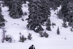 lebanon-akkar-elezer-ammoua-forest-snowshoeing-hike-hiking
