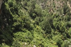 lebanon-baskinta-hike-spring-drone