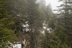 lebanon-ehden-forest-winter-hike-hiking-drone