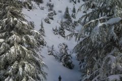 lebanon-ehmej-snowshoeing-hike-hiking-forest-snow-winter-cedars-natural-reserve