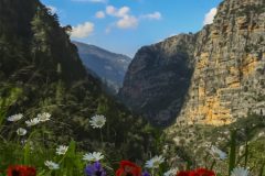 lebanon-spring-chouwen-nahr-ibrahim-hike-hiking-nature