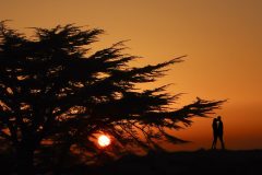 lebanon-tannourine-sunset-silhouttes-cedars