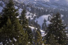 lebanon-cedars-ammoua-snowshoeing-hiking-hike-snow-winter