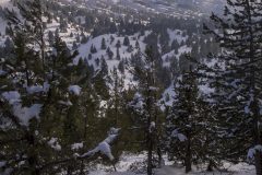 lebanon-snowshoeing-ammoua-cedars-forest-hike-hikingsnow-winter