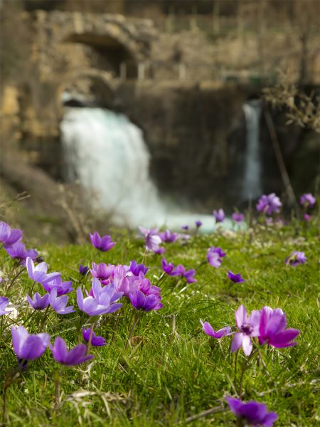 lebanon-afqa-long-exposure-waterfall-spring