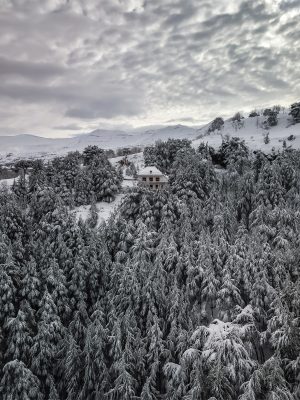 lebanon-hadath-el-jebbeh-snow-cedars-forest-snowshoeing-hike-hiking-winter