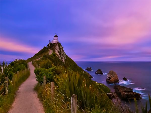 new-zealand-roadtrip-nugget-point-lighthouse-sunset-photography