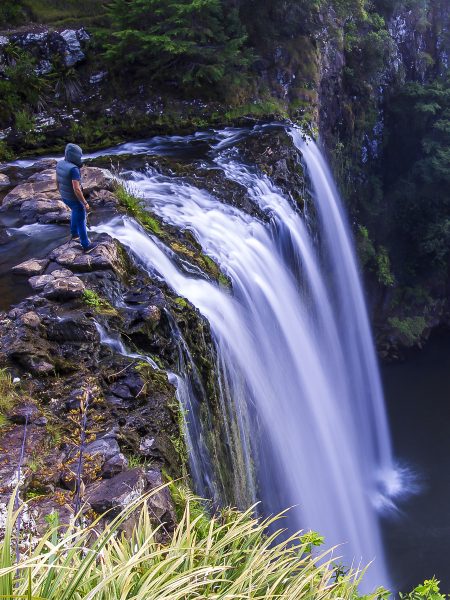 new-zealand-whangarei-falls-roadtrip-waterfall